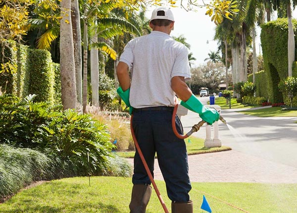 About Monroe NH Pest Control Pros